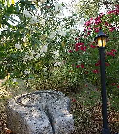 Alomata Hotell Agios Sostis (Zakynthos)